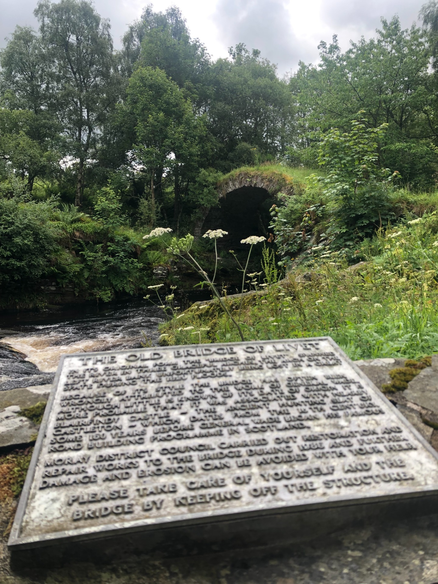 The Old Bridge of Livet